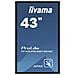 Monitor 43" LED VA ProLite TF4339MSC-B1AG 1920x1080 Full HD Tempo di Risposta 8 ms - Foto miniatura 4