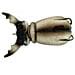 Supernato Beetle Col. White Beetle - Foto miniatura 1