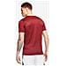 Maglia Uomo DryFit Park VII Taglia L Colore Bordeaux - Foto miniatura 4