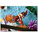 ICONS Acquario tropicale - Foto miniatura 25