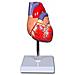 Modello Cuore Linea Value - 2 Parti - 1x - Foto miniatura 1