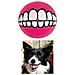 Grinz Ball Small Pink - Foto miniatura 1
