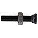 Bullone Testa Ovale M10x55 Con Dado Confezione Da 50 Pezzi - Foto miniatura 1