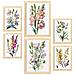Set Di 6 Stampe Fiori Selvatici Stampe Naturalistiche E Botaniche A Colori Con Motivi Floreali Su Sfondi Bianchi Puri A3 & A4 Telaio In Legno Chiaro - Foto miniatura 1
