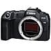 EOS R8 + RF 24-105mm F4-7.1 IS STM MILC 24,2 MP CMOS 6000 x 4000 Pixel Nero - Foto miniatura 2