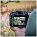 EOS R8 + RF 24-105mm F4-7.1 IS STM MILC 24,2 MP CMOS 6000 x 4000 Pixel Nero - Foto miniatura 3