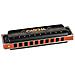 Professionale Armonica Tasto Di A Diatonica Blues Harmonica Set Bocca Organo Per Adulti Con Il Caso E Panno Cura Hh 2161 - Foto miniatura 2