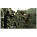 Fallout 3 Game of The Year Edition, PS3, PlayStation 3, RPG (Gioco di ruolo) , M (Mature)  - Foto miniatura 5