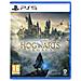 Videogioco Warner 1000818851 Playstation 5 Hogwarts Legacy - Foto miniatura 2