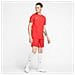Maglia Uomo DryFit Park VII Taglia L Colore Rosso - Foto miniatura 4