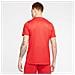 Maglia Uomo DryFit Park VII Taglia L Colore Rosso - Foto miniatura 6