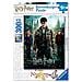 Harry Potter Puzzle per Bambini, Multicolore, 300 Pezzi, 12871 - Foto miniatura 1
