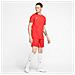 Maglia Uomo DryFit Park VII Taglia M Colore Rosso - Foto miniatura 2
