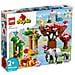10974 Duplo Animali dell'Asia - Foto miniatura 1