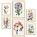 Set Di 6 Stampe Hibiscus Stampe Naturalistiche E Botaniche A Colori Con Motivi Floreali Su Sfondi Bianchi Puri A3 & A4 Telaio In Legno Chiaro - Foto miniatura 1