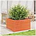Fioriera Giardino Marrone Cera 80x80x45,5cm Legno Massello Pino - Foto miniatura 3