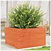 Fioriera Giardino Marrone Cera 80x80x45,5cm Legno Massello Pino - Foto miniatura 1
