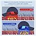 Cappello Massaggiante Con Trattamento Per Capelli Tramite Luce Led. Migliora La Circolazione, Aiuta A Rinforzare E Anti-caduta. - Foto miniatura 4