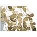 Specchio Con Cornice Farfalla 31 - Oro - Metallo - 81,5x3,5x81,5 Cm - Foto miniatura 4