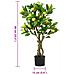 Albero di Limoni Artificiale 234 Foglie 90 cm Verde - Foto miniatura 5