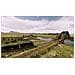 PS4 - Railway Empire Complete Collection - Foto miniatura 4