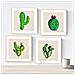 Set Di 4 Stampe Nordico Sfondo Stampe Con Colori Verdi Vegetale Di Cactus Raffigurazioni Della Botanico Piante Grasse Senza Cornice 15x15 Cm - Foto miniatura 1