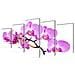 5 Pz Set Stampa Su Tela Da Muro Orchidèa 100 X 50 Cm - Foto miniatura 1