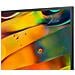 TV Direct LED Ultra HD 4K 43" 43E7KQ Smart TV - Foto miniatura 5