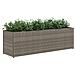 Fioriere da Giardino con 3 Vasi Grigie 105x30x32 cm Polyrattan - Foto miniatura 4
