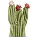 Cactus Decorativo In Resina Multicolore Piccolo - Foto miniatura 4