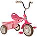 Triciclo Transporter Rose Garden con Ruota 10" 1021TRA992680 - Foto miniatura 1