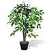 Albero Ficus Artificiale Con Vaso 90 Cm - Foto miniatura 1