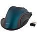 Mouse Ottico Wireless 2,4 Ghz, 3 Pulsanti Con Scorrimento, Blu - Foto miniatura 2