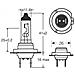 Lampadine Xenon5000 H7 12v - Foto miniatura 2