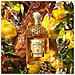 Aqua Allegoria Oud Yuzu Forte 125ml - Foto miniatura 2
