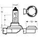 Lampadine Xenon5000 H11 12v - Foto miniatura 2