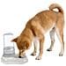 Distributore Di Cibo O Acqua Per Cani E Gatti Azimut 1500 Dispenser Per Animali 1,5 Litri Mangiatoia Per Crocchette Cibo Secco Acqua, Robusta Plastica, Serbatoio Trasparente Con Scala Graduata, Fondo Antiscivolo, 16,5 X 25 X H 24,5 Cm Bianco - Foto miniatura 5