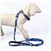 Guinzaglio Per Cani Grigio Azzurro M - Foto miniatura 4