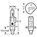 Lampadine Rallysport H1 12v 100w - Foto miniatura 2