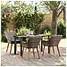 Set da Pranzo da Giardino 5 Pezzi Grigio in Polyrattan - Foto miniatura 2