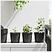 Vaso per Fiori 200 pcs Nero Ø 15 x 13 cm Plastica - Foto miniatura 2