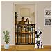 Bettacare Cancelletto Per Cani Elite Extra Alto, 134cm - 143cm, Nero Opaco, Extra Alto Con 100cm Di Altezza - Foto miniatura 3