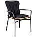 Cuscino Decorativo Cleveland-nero-poliestere-51,5x45x5 Cm - Foto miniatura 2
