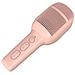 KIDSFESTIVAL2PK microfono Rosa Microfono per karaoke - Foto miniatura 1