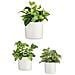 Set Di Vasi Ø 14 Cm Ø 22 Cm Ø 17 Cm Cilindro 3 Pezzi Bianco - Foto miniatura 2