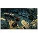 Shadow Tactics Blades Of The Shogun Xbox One Game - Foto miniatura 5