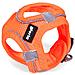 Imbracatura Per Cani Trek Star 24-26 Cm 28-28,6 Cm Arancio Xxs - Foto miniatura 6