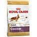 Cibo per Cani Royal Canin Cocker 12 kg - Foto miniatura 2