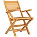 Sedie Da Giardino Pieghevoli 2pz 55x62x90cm Legno Massello Teak - Foto miniatura 5