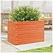 Fioriera Giardino Marrone Cera 70x40x46 Cm Legno Massello Pino - Foto miniatura 3
